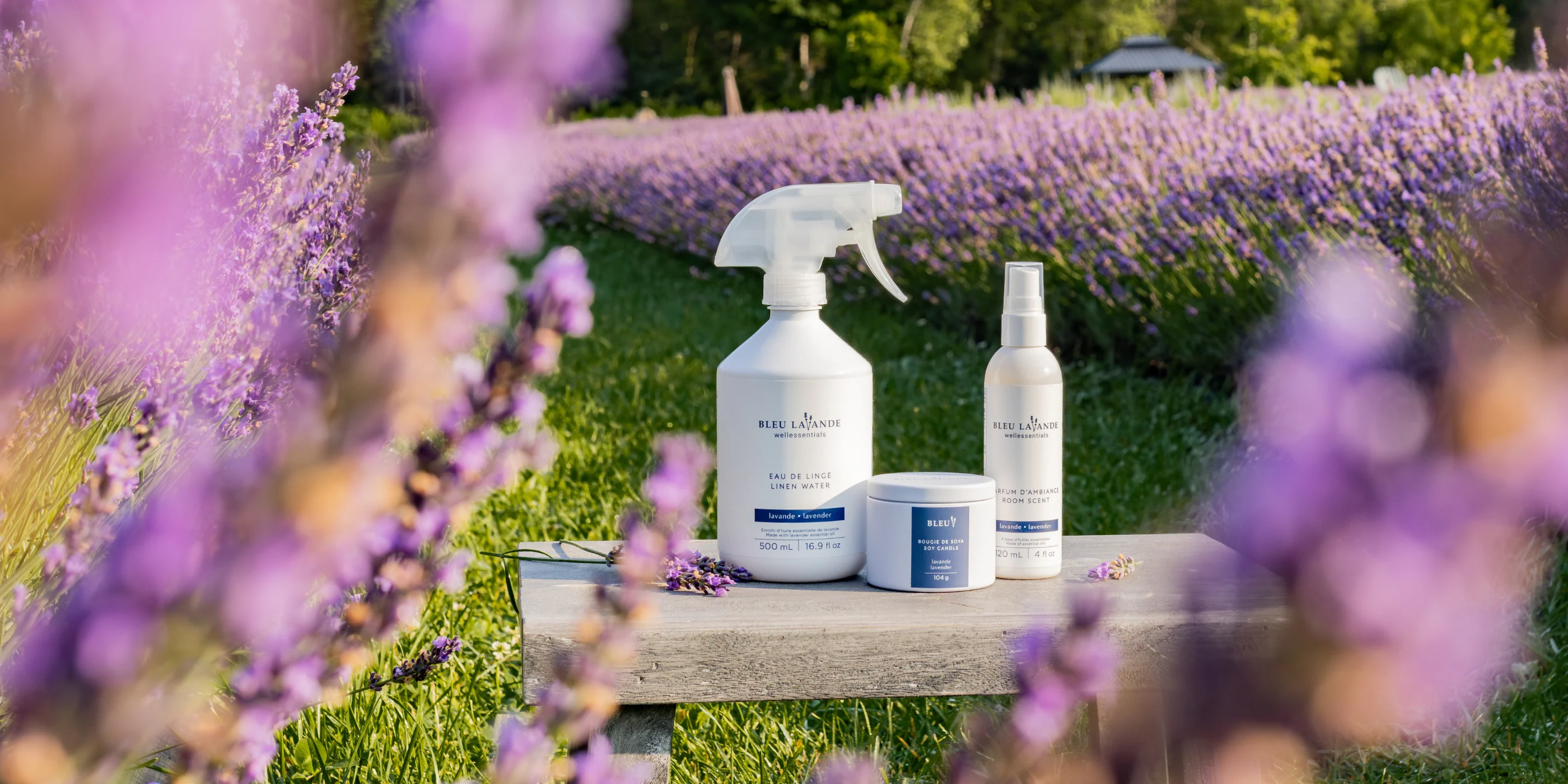 Pure Wellness Through Lavender Rituals